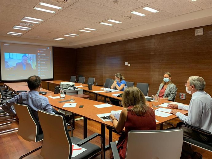 Imagen de archivo de un encuentro online del consejero de Economía, Rogelio Velasco, con los rectores de las universidades andaluzas.