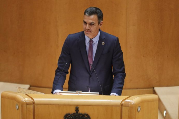El president del Govern d'Espanya, Pedro Sánchez, compareix davant el ple del Senat. Madrid (Espanya), 8 de setembre del 2020. 