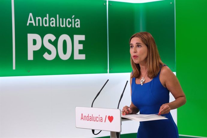 La portavoz de Educación del Grupo Parlamentario Socialista, Beatriz Rubiño, en rueda de prensa en una foto de archivo.