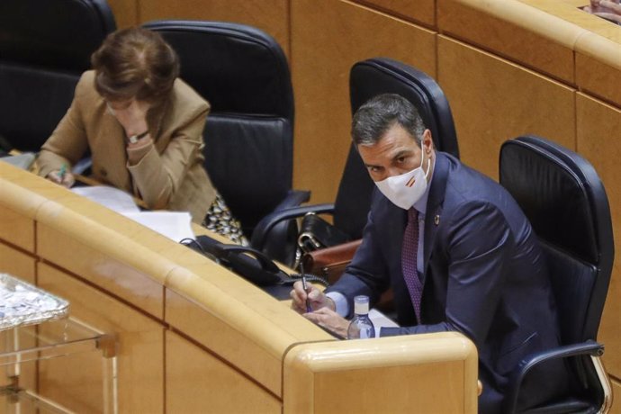 El presidente del Gobierno, Pedro Sánchez, durante su comparecencia celebrada ante el Pleno del Senado