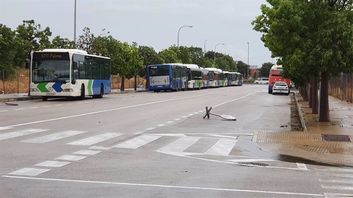 Autobuses aparcados en Son Güells.