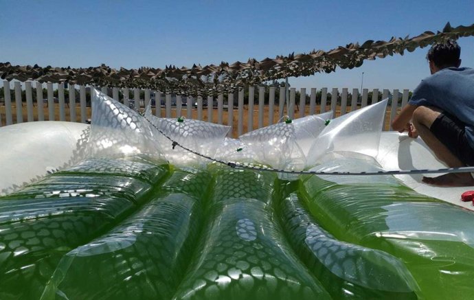 Economía.- Startups andaluzas aplican las TIC al campo para impulsar una agricul