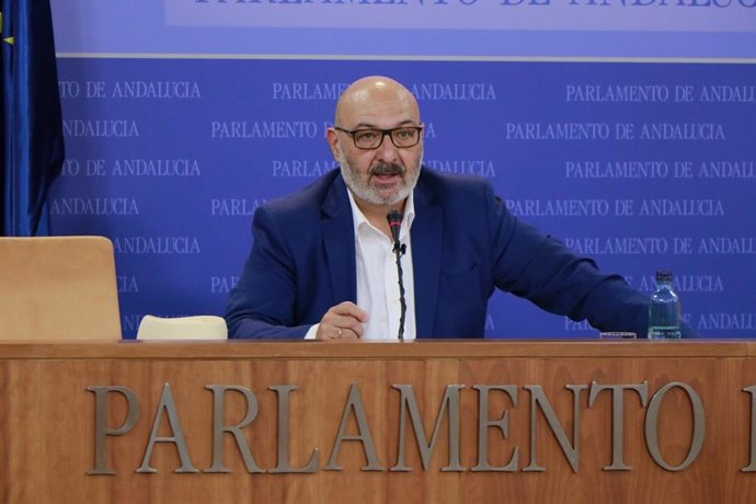 El portavoz parlamentario de Vox en Andalucía, Alejandro Hernández  