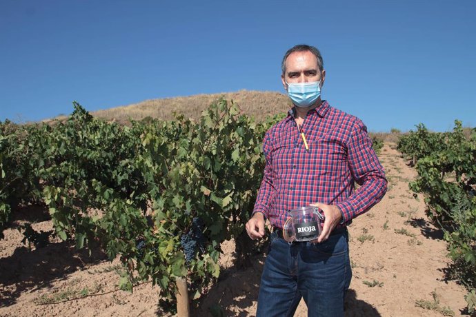 Rioja espera una cosecha "generosa" y "de calidad" 