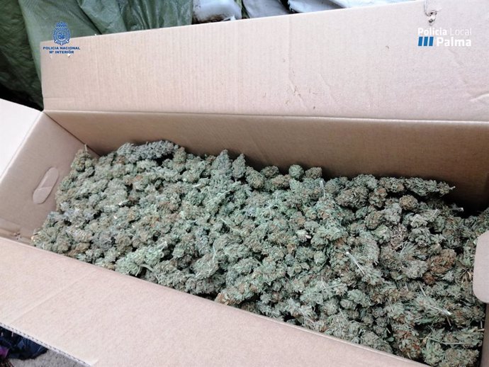 Marihuana dispuesta para su venta incautada en el operativo.