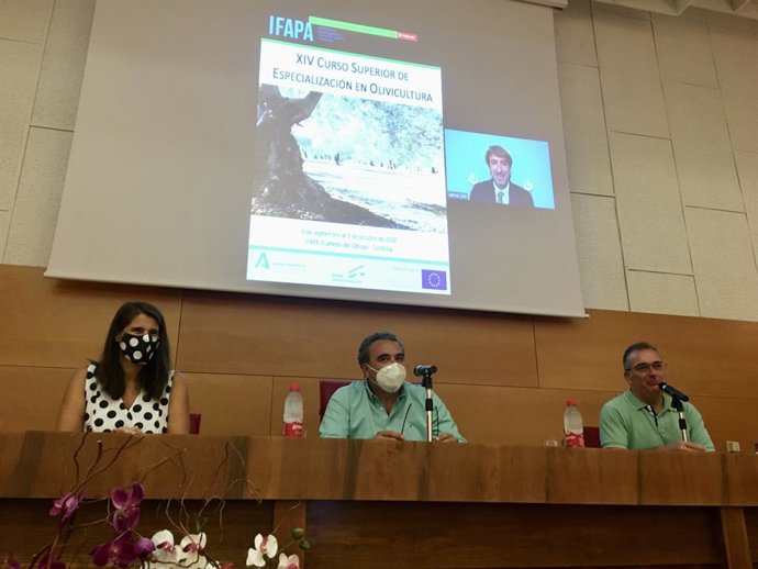 Córdoba.- La Junta destaca la excelencia del curso en Olivicultura del Ifapa