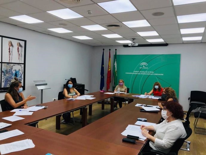 Imagen de la reunión de la Comisión Permanente del Consejo Andaluz de Participación de las Mujeres, celebrada este miércoles.