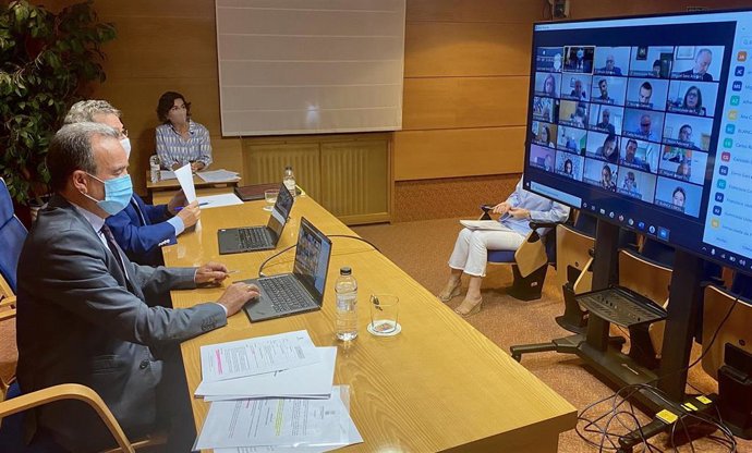 El presidente de la DPZ, Juan Antonio Sánchez Quero, interviniendo en el pleno telemático de este miércoles.