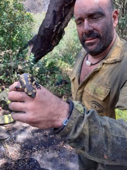 Uno de los efectivos del Infoca consigue encontrar vida en el interior del fuego
