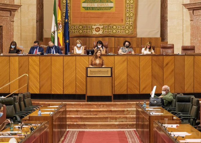 La consejera de Agricultura, Ganadería, Pesca y Desarrollo Sostenible, Carmen Crespo, comparece en el Pleno del Parlamento andaluz.