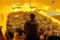 Buscan al responsable de 83 plantas de marihuana intervenidas en una vivienda de Roquetas (Almería)