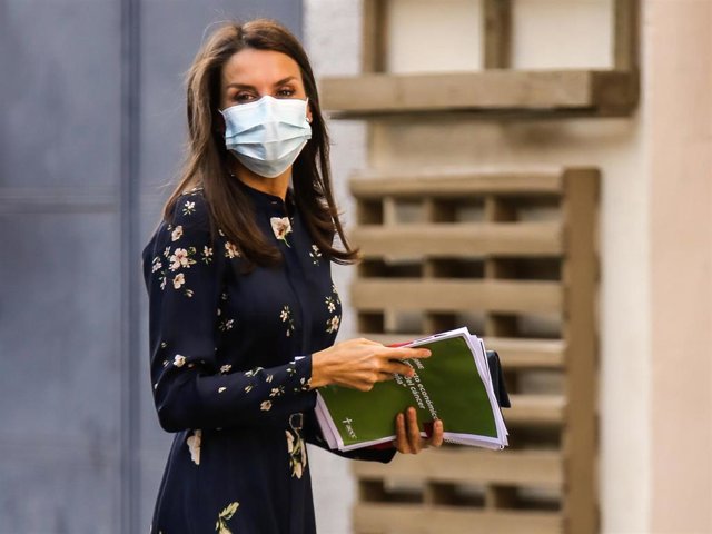 La Reina Letizia, con un elegante vestido otoñal con discreto estampado de flores, llega con unos documentos a una reunión de la Asociación Española contra el Cáncer