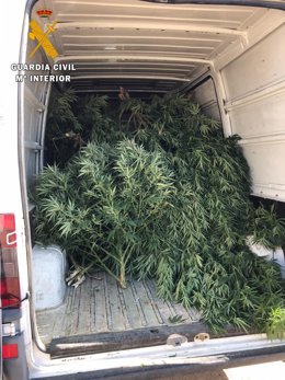 Droga incautada por la Guardia Civil en Illescas