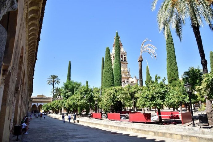 Zona acotada del Patio de los Naranjos de la Mezquita de Córdoba donde se ha iniciado la excavación arqueológica.