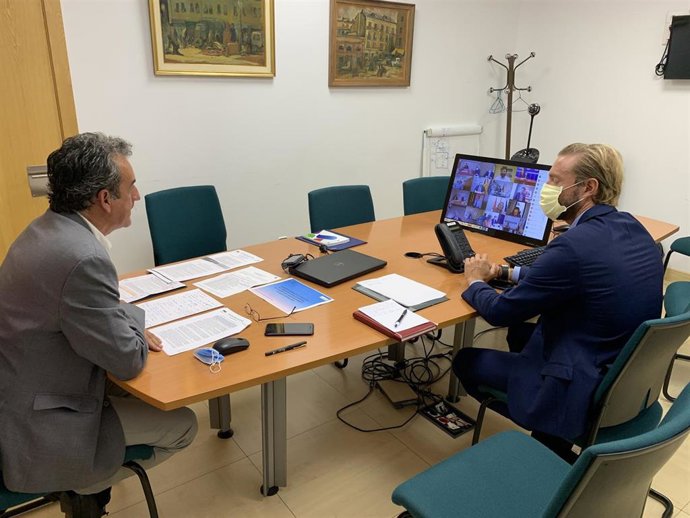 El consejro de Transporte, Francisco Martin, y el director general de Transporte, Felipe Piña, en la videoconferencia con Ábalos