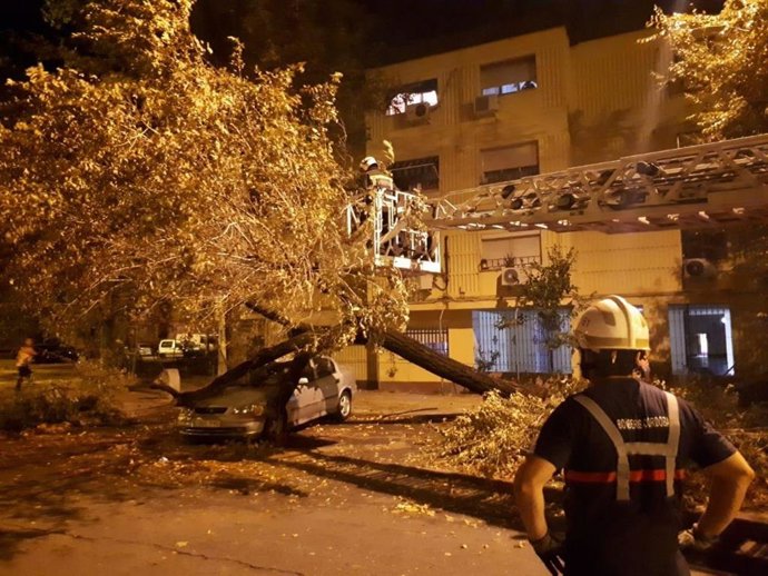 Actuación de los  bomberos de Córdoba ante los daños por la lluvia y el viento.