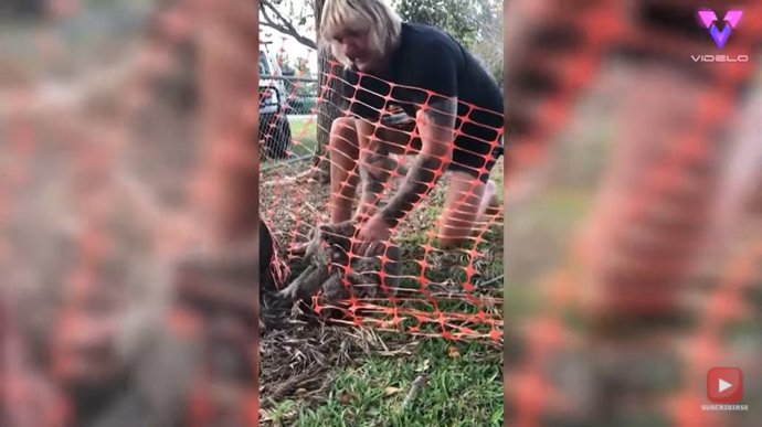 14 personas rescatando animales que restaurarán tu fe en el ser humano