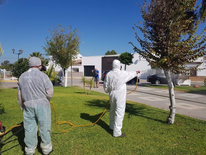 Labores de fumigación contra mosquitos en Los Palacios