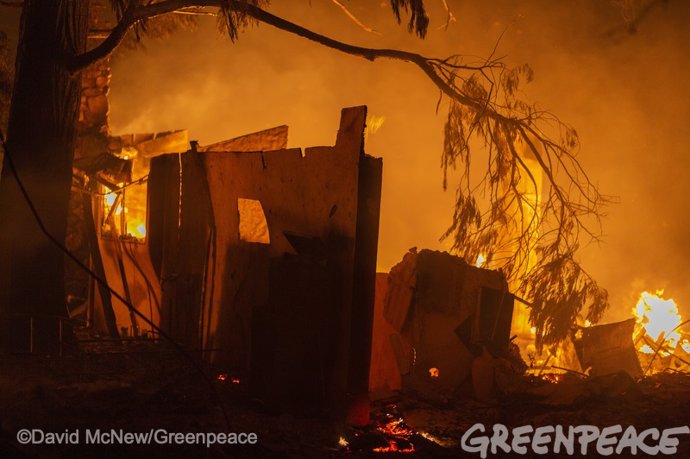 EEUU.- Greenpeace alerta de que el fuego ha arrasado en California la mayor supe