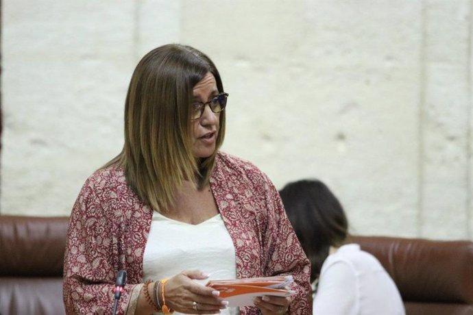 Sevilla.-Hormigo destaca que Cs cumple con los más vulnerables reforzando Servicios Sociales para agilizar Renta Mínima