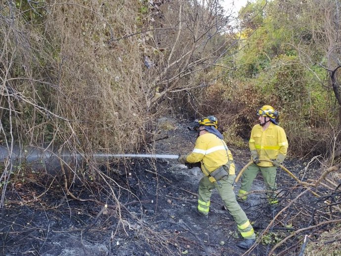 Bomberos trabajando en el incendio forestal del Cortijo la Joya en Algeciras