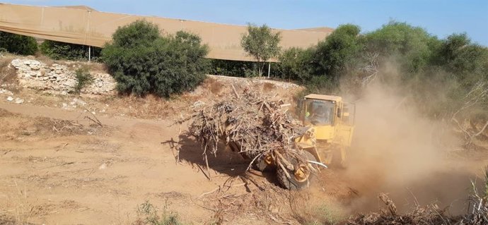 Imagen de las tareas de mantenimiento en cauces de Cartagena