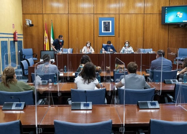 Reunión de la Comisión de investigación de la Faffe, este viernes