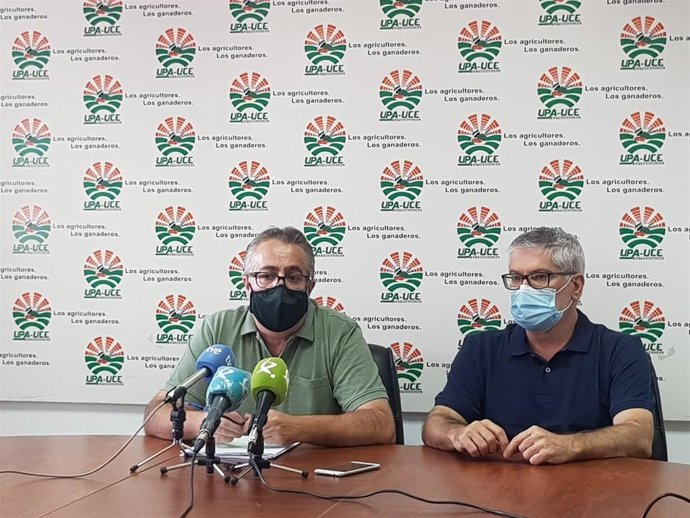 UPA-UCE ofrece una rueda de prensa sobre la campaña del tomate