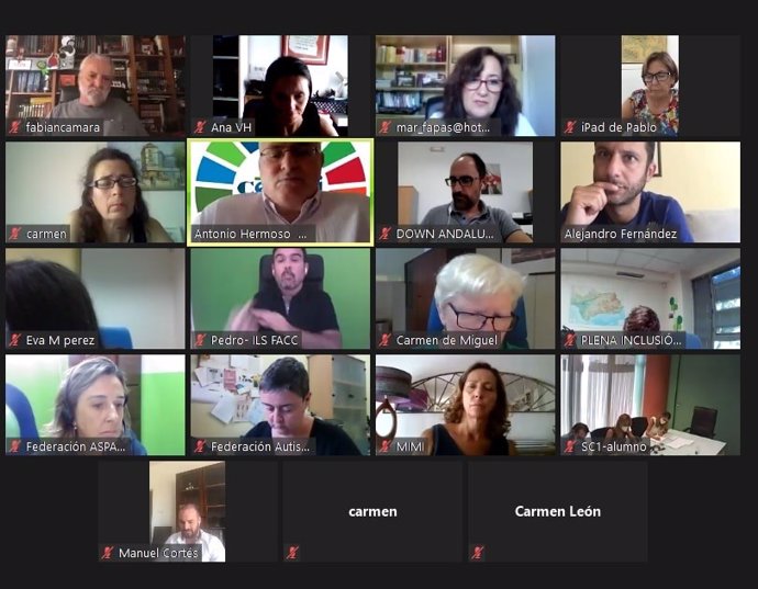 Imagen de la reunión virtual de Cermi con diferentes responsables de la Consejería de Educación.
