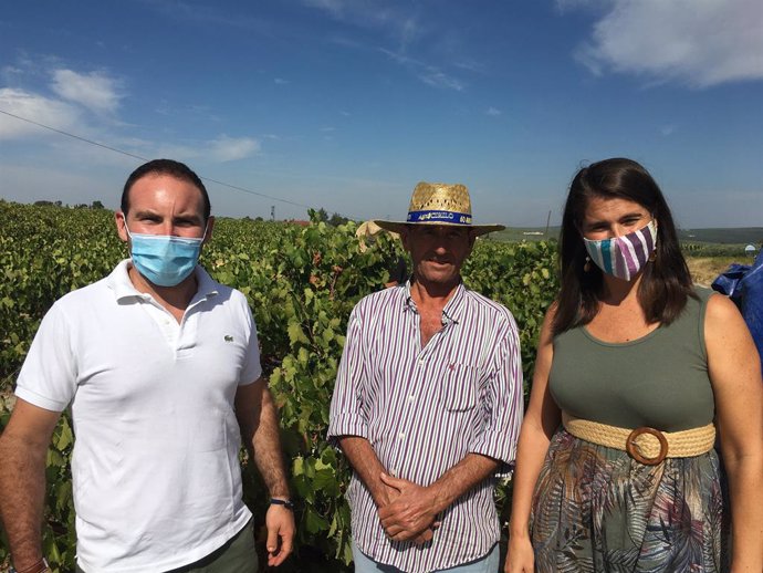 Córdoba.- La Junta apoya al sector vitivinícola a través de la investigación, pr