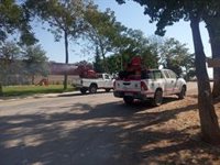 Dos Hermanas (Sevilla) intensifica las fumigaciones contra los mosquitos ante el virus del Nilo