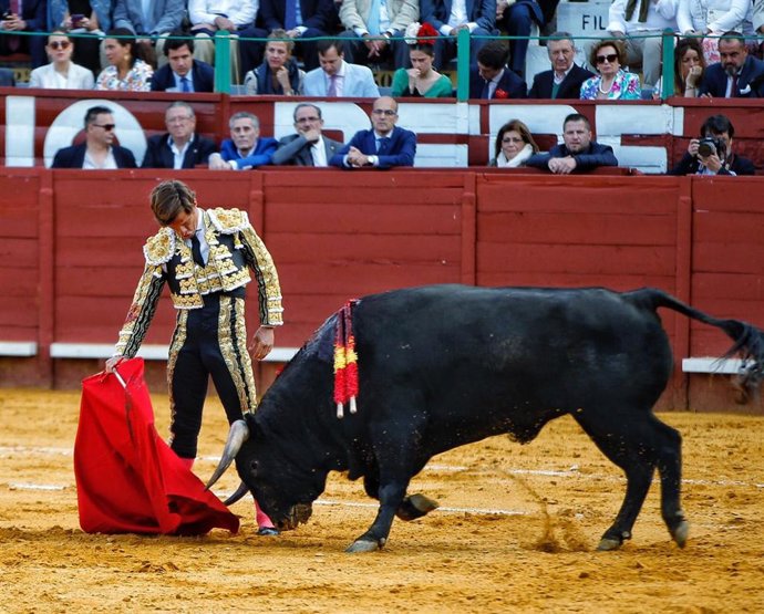 Corrida de toro