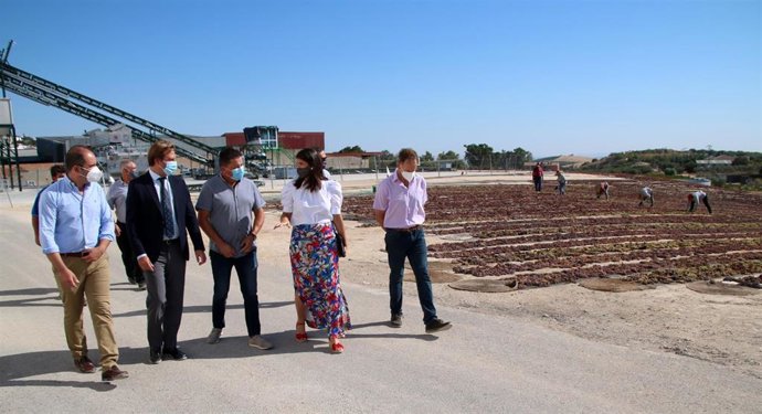 El delegado del Gobierno, Antonio Repullo, y la delegada territorial de Agricultura, Araceli Cabello, durante el encuentro con los socios de la Cooperativa Vitivinícola San Acacio de Montemayor.