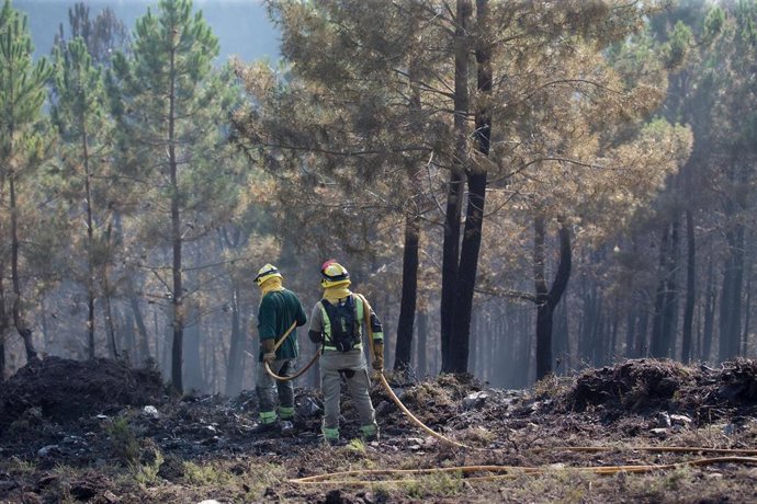 Dos bomberos de las brigadas antiincendios de la Xunta de Galicia trabajan en las labores de extinción de un incendio