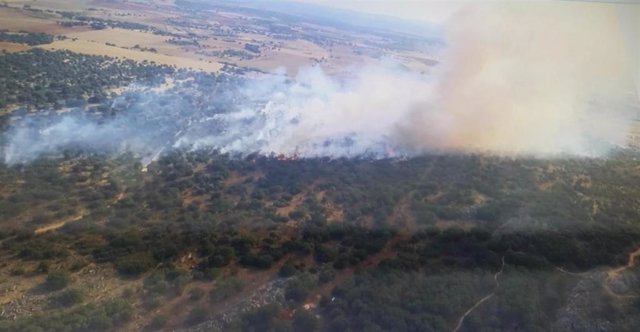 Incendio forestal en Morales de Rey (Zamora).