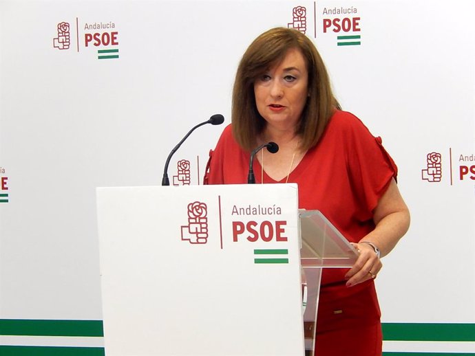La portavoz de Igualdad del Grupo Parlamentario Socialista, Soledad Pérez, en rueda de prensa. Foto de archivo