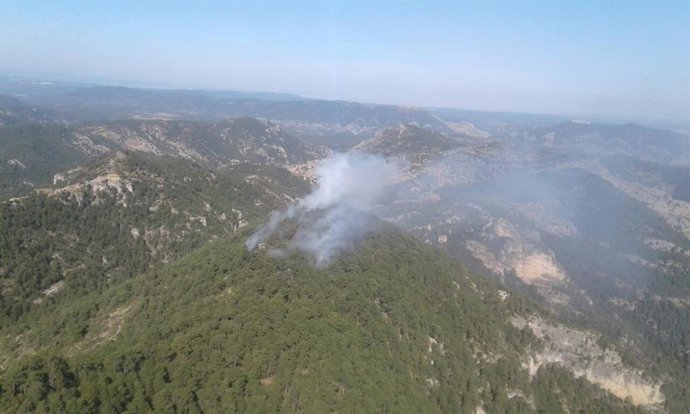 Incendio de una zona de pinar en los pertos de Beceite