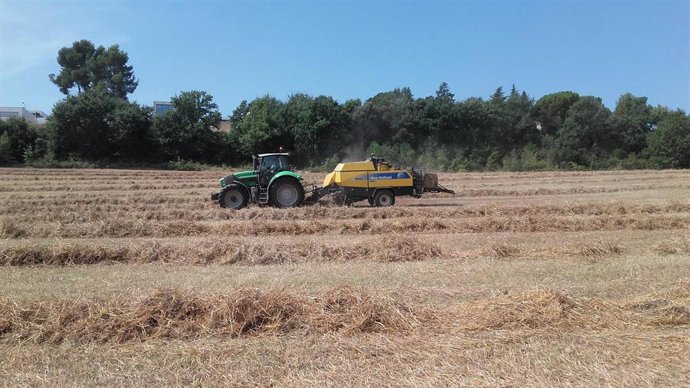 Imagen de recurso de un tractor.