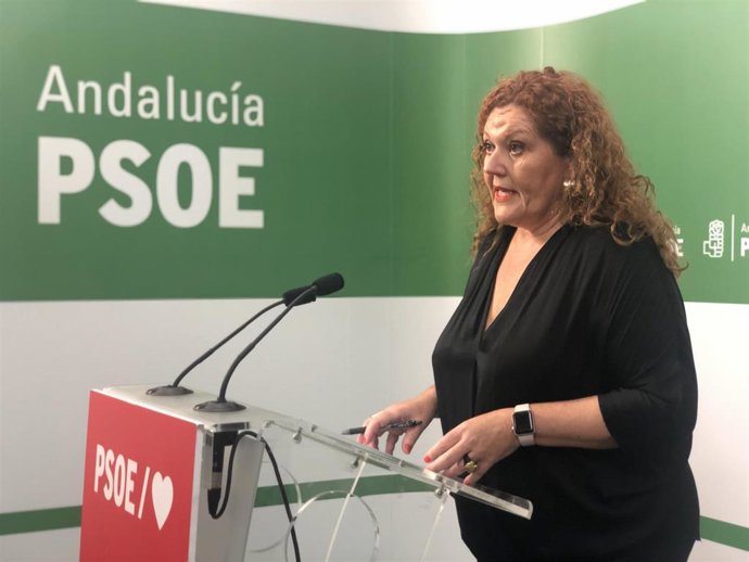 La secretaria de Organización del PSOE de Cádiz y parlamentaria andaluza, Araceli Maese, en rueda de prensa