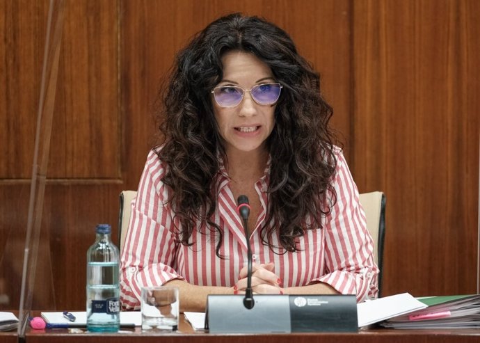 La consejera de Igualdad, Rocío Ruiz, este martes durante su comparecencia parlamentaria en comisión.