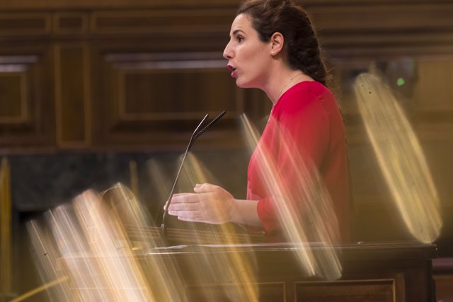 La diputada de Vox en el Congreso Rocío de Meer, durante su intervención en la primera sesión plenaria en el Congreso de los Diputados.