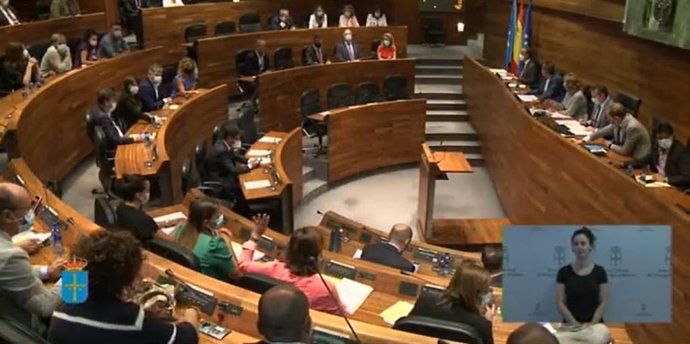 Pleno de la Junta General.