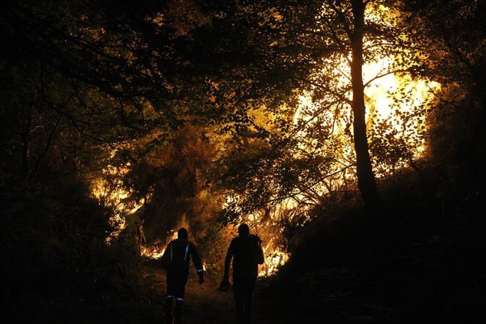 Incendio de Vilariño de Conso.