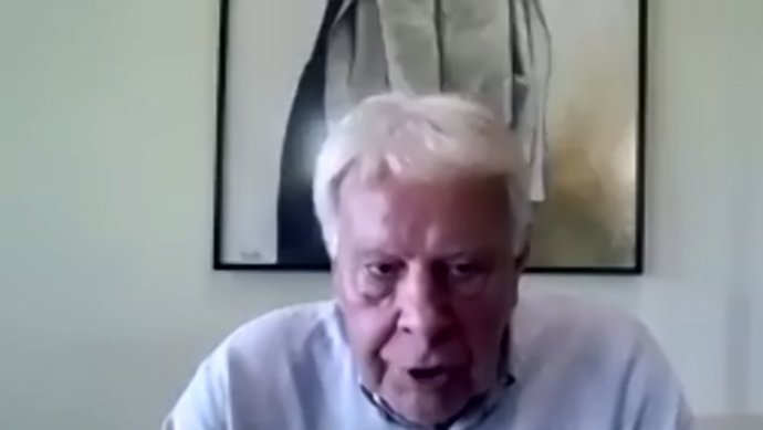 El expresidente del Gobierno Felipe González en su intervención durante la inauguración de las jornadas telemáticas del 30 aniversario de la Fundació Internacional Olof Palme, el 16 de septiembre de 2020
