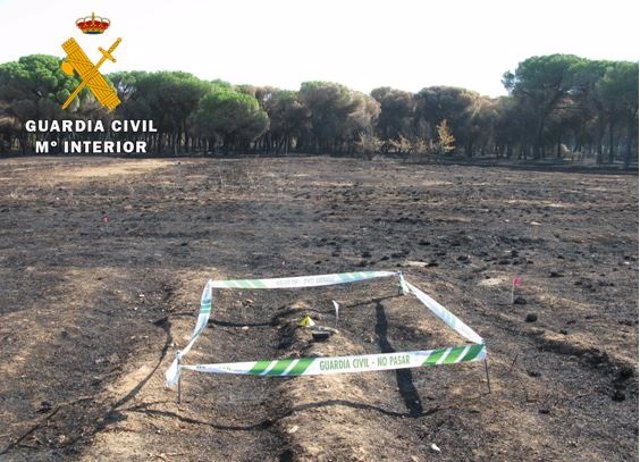 Zona afectada por el incendio declarado en Simancas causado por los trabajos de desbroce y limpieza de los cinco investigados.