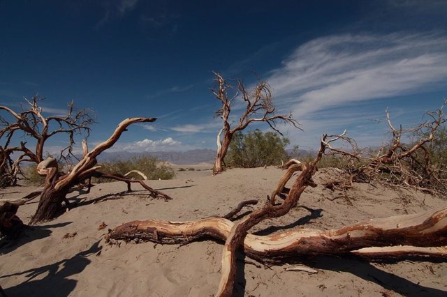 Valle de la Muerte, en California, donde se registraron 54,4 grados Celsius el 16 de agosto