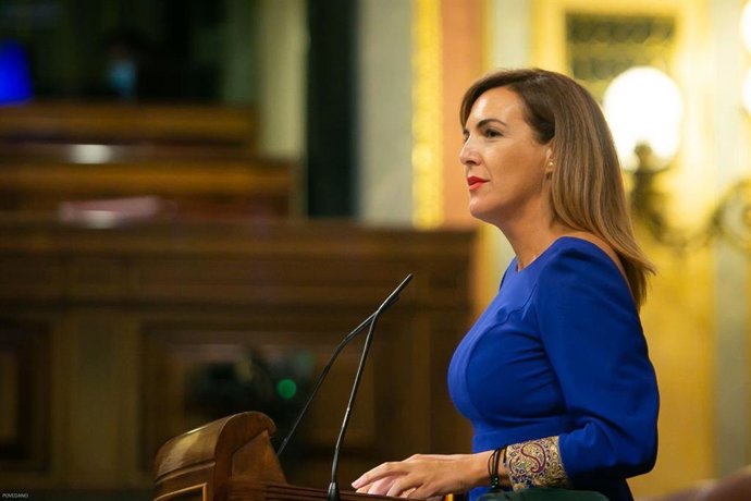 La diputada de Vox Patricia Rueda, en una intervención en el Pleno del Congreso