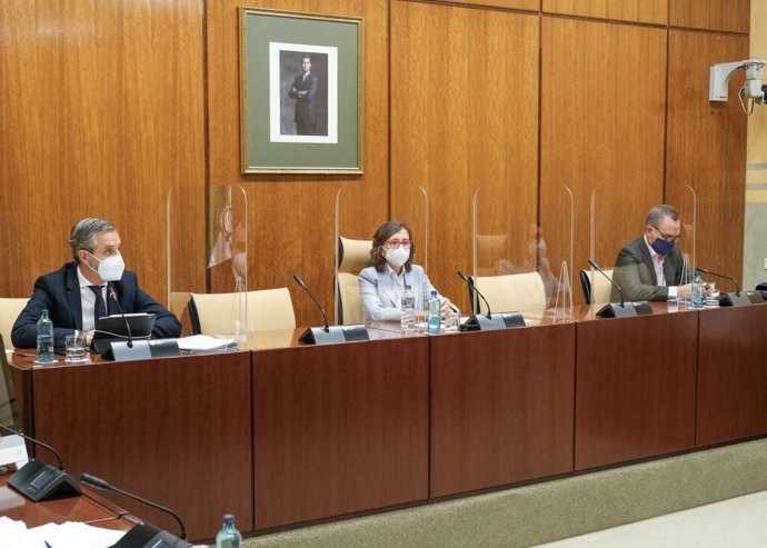 El consejero de Hacienda, Juan Bravo, este miércoles durante su comparecencia parlamentaria en comisión.