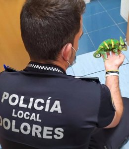 Un agente con el camaleón.