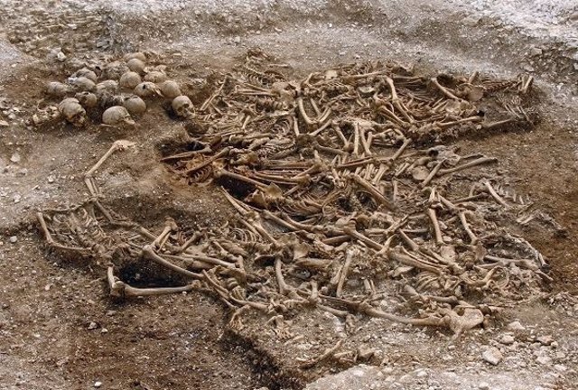 Una fosa común de unos 50 vikingos decapitados de un sitio en Dorset, Reino Unido. Algunos de estos restos se utilizaron para análisis de ADN.